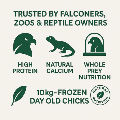 Frozen Day Old Chicks 10kg Tray (Approx. 250 Chicks) – Natural Whole Prey Food for Birds of Prey, Snakes, Reptiles & Exotic Animals