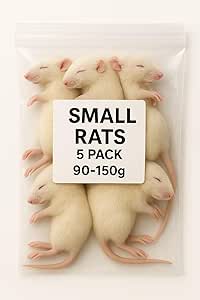 SiarFrozen Small Rats, 5 Pack, Premium Frozen Whole Prey, 90-150g Each, for Reptiles and Birds of Prey, Adult Animal Feed