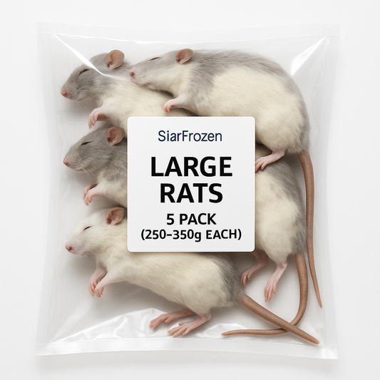 SiarFrozen Large Rats, 5 Pack, Premium Frozen Whole Prey, 250-350g Each, for Reptiles and Birds of Prey, Adult Animal Feed
