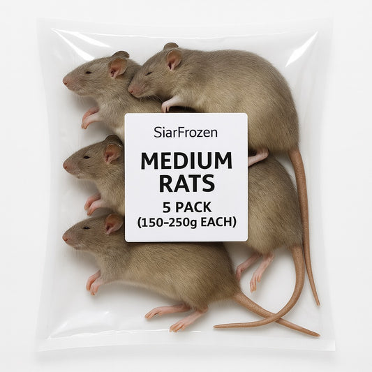 SiarFrozen Medium Rats, 5 Pack, Premium Frozen Whole Prey, 150-250g Each, for Reptiles and Birds of Prey, Adult Animal Feed