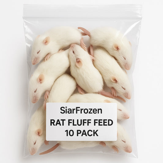 Premium Frozen Rats for Reptiles | SiarFrozen | UK, NI & ROI