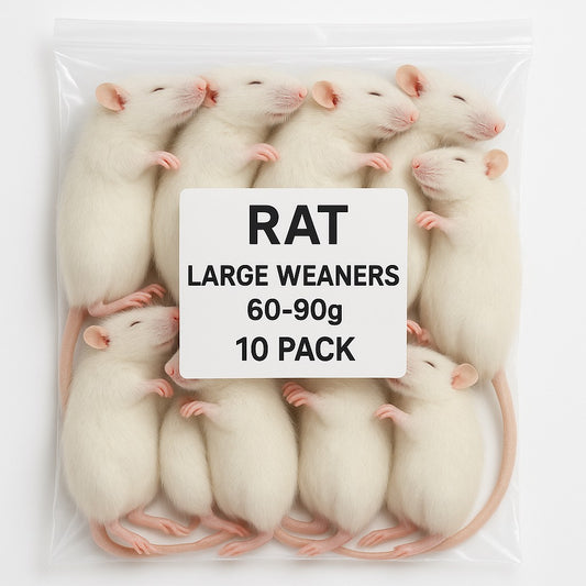 SiarFrozen Rats Large Weaner, 10 Pack, Premium Frozen Whole Prey, 60-90g Each, for Reptiles and Birds of Prey, Adult Animal Feed