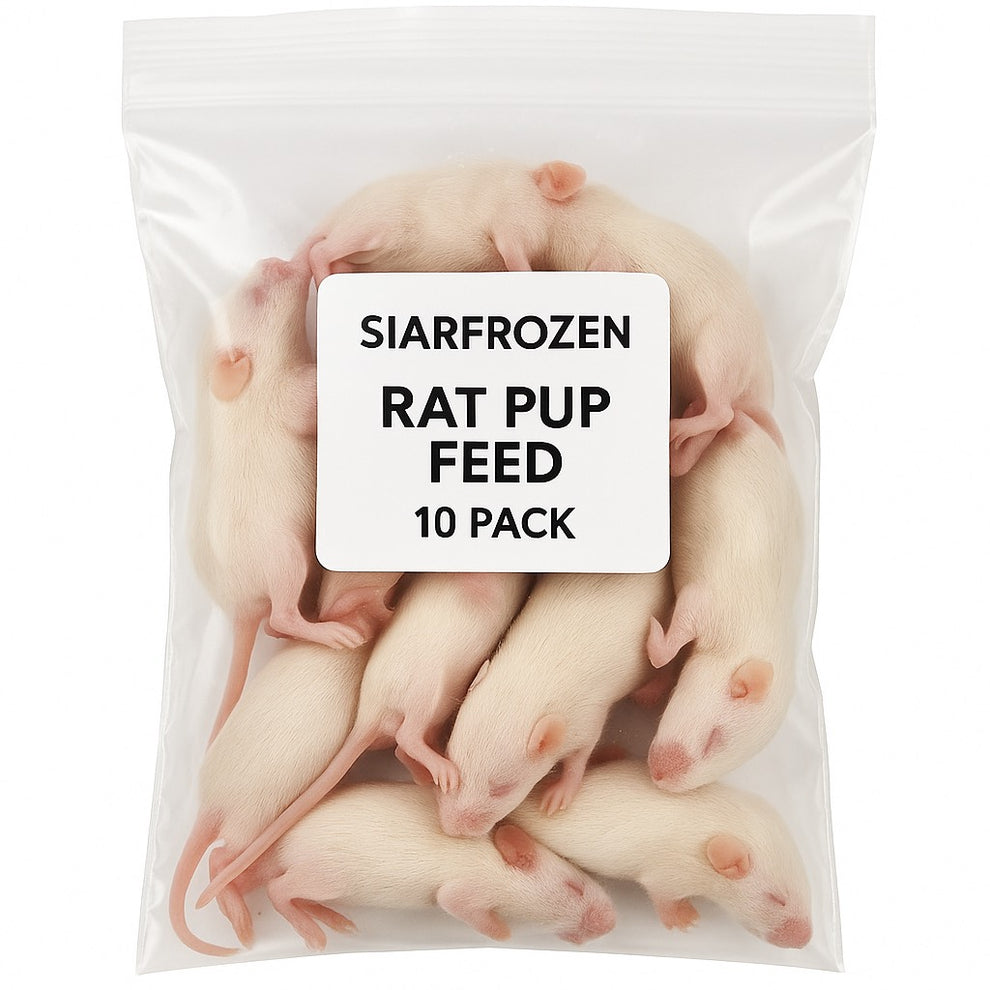 SiarFrozen Rat Pups | 10-Pack Bulk Frozen Snake & Reptile Feed