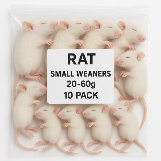SiarFrozen Rats Small Weaners, 10 Pack, Premium Frozen Whole Prey, 20-60g Each, for Reptiles and Birds of Prey, Adult Animal Feed